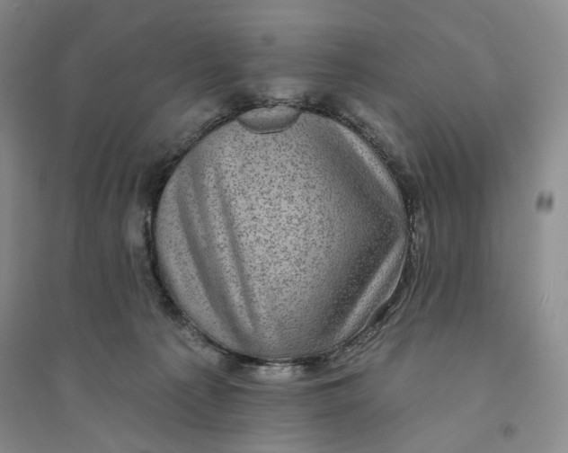 X0000094070225200711091159