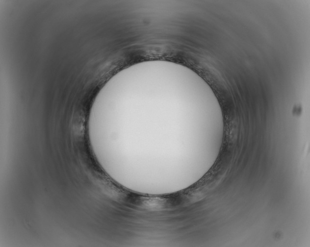 X0000094070226200711091159