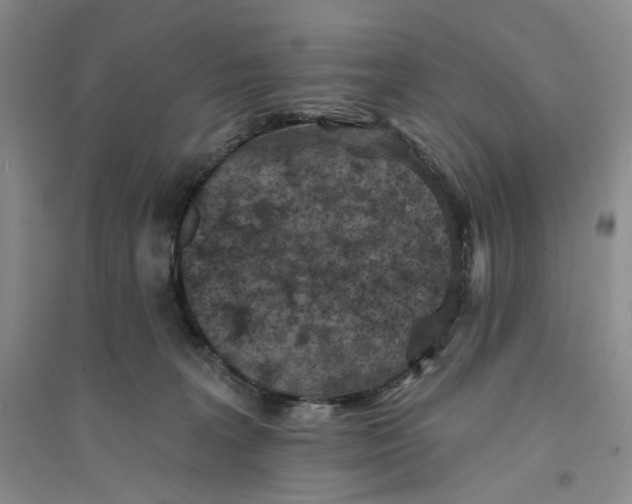 X0000094070227200711091159