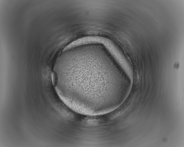 X0000094070228200711091159