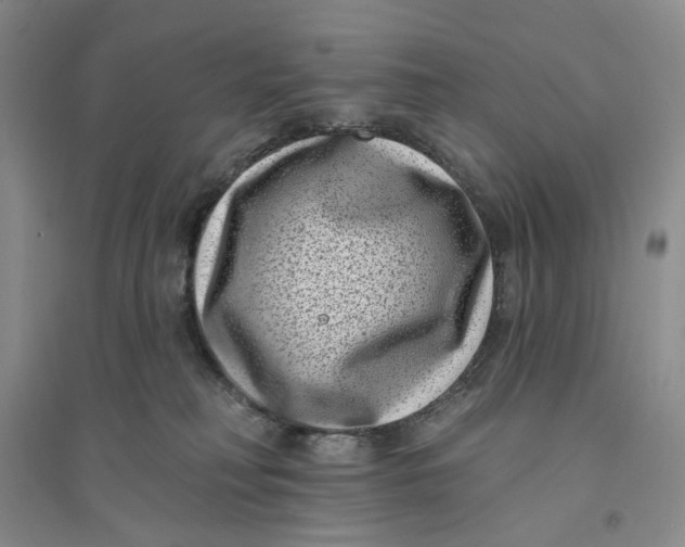 X0000094070230200711091159