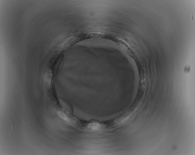 X0000094070231200711091159