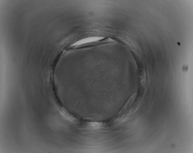 X0000094070233200711091159
