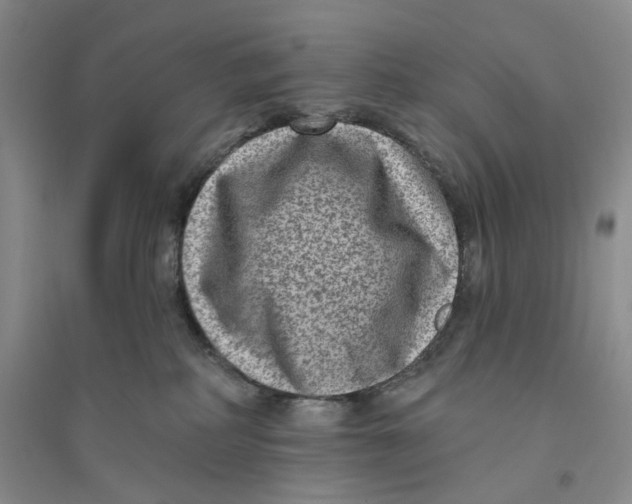 X0000094070234200711091159
