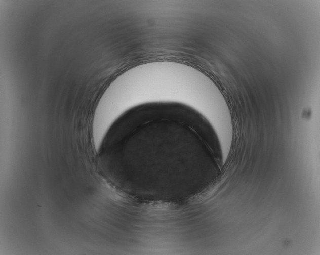 X0000094070235200711091159