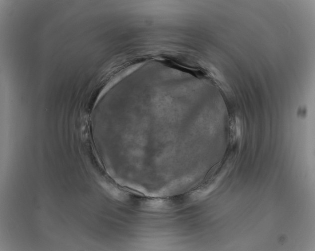X0000094070237200711091159