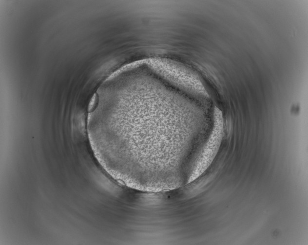 X0000094070238200711091159