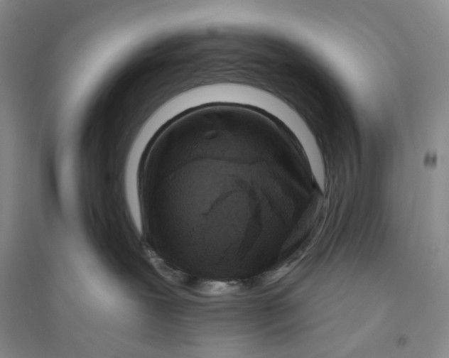 X0000094070239200711091159