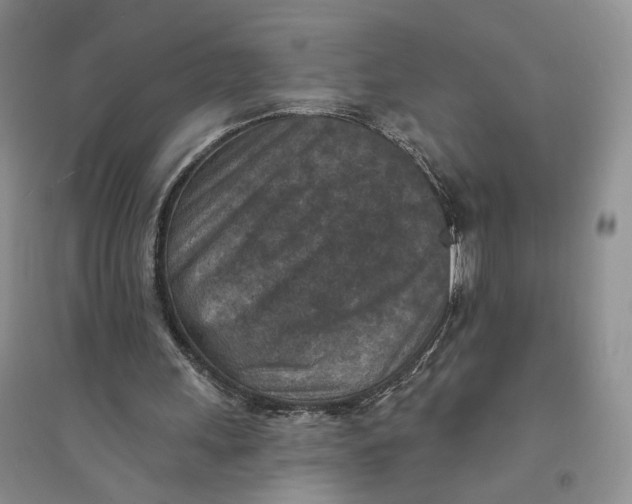 X0000094070243200711091159