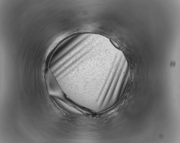 X0000094070244200711091159