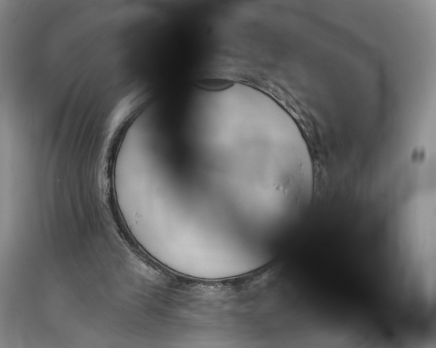 X0000094070245200711091159