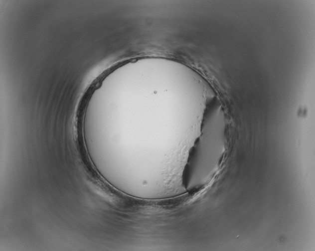 X0000094070246200711091159