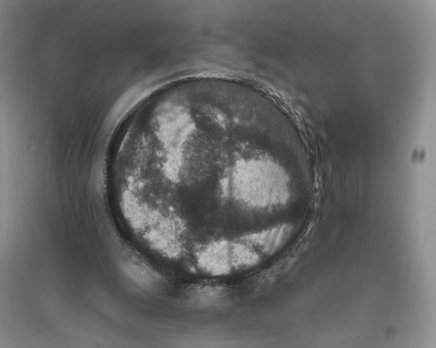 X0000094070247200711091159