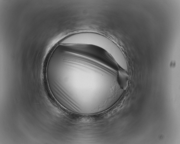 X0000094070248200711091159