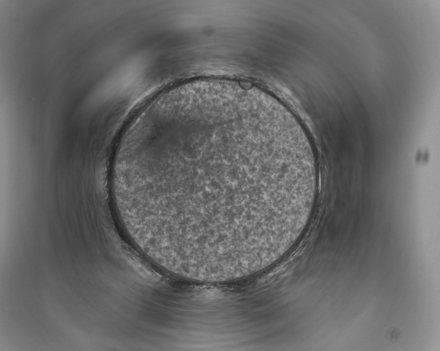 X0000094070249200711091159