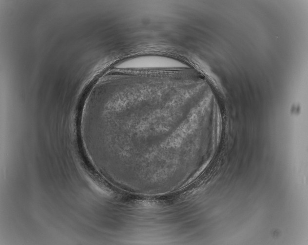 X0000094070250200711091159