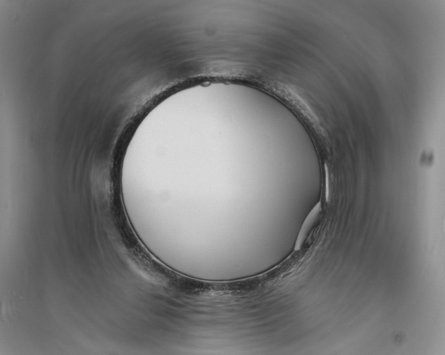 X0000094070252200711091159