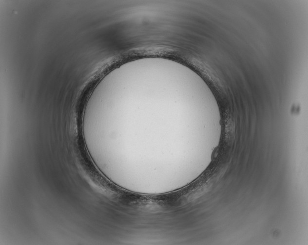 X0000094070254200711091159