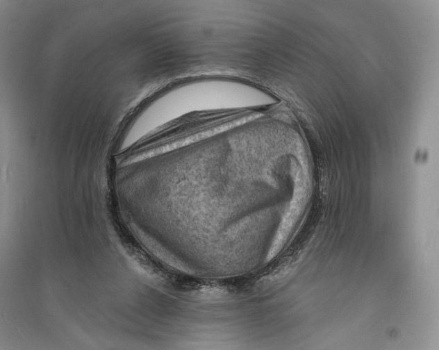 X0000094070256200711091159