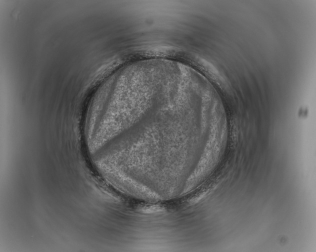 X0000094070258200711091159