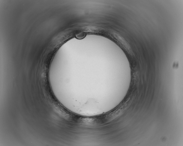 X0000094070265200711091159