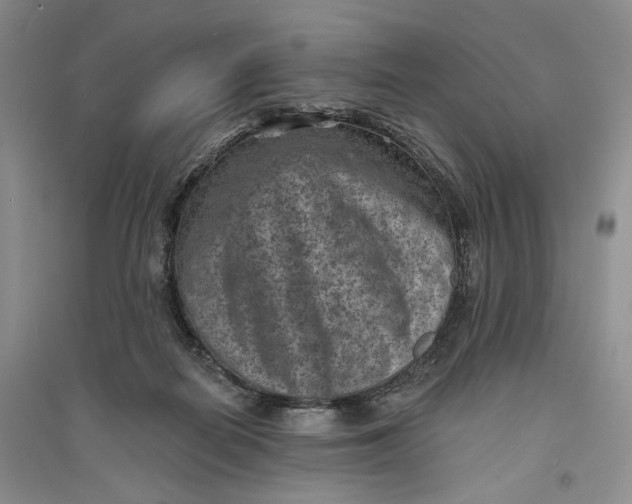 X0000094070266200711091159