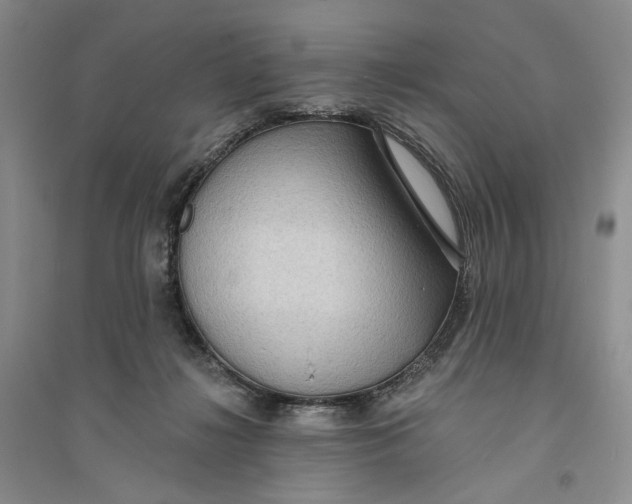 X0000094070268200711091159