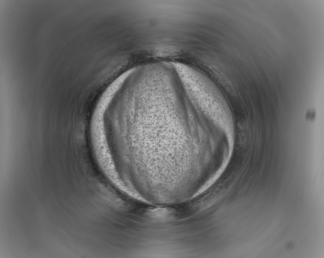 X0000094070269200711091159