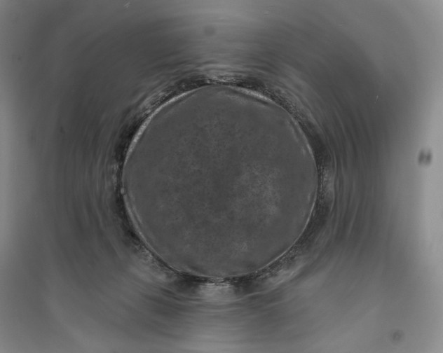 X0000094070271200711091159