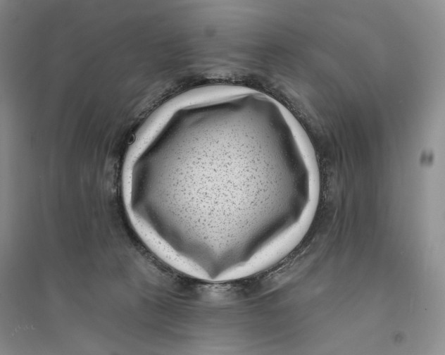 X0000094070273200711091159