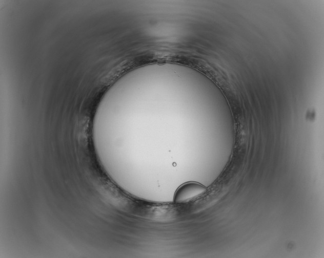 X0000094070275200711091159