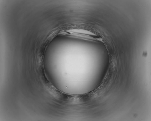 X0000094070276200711091159