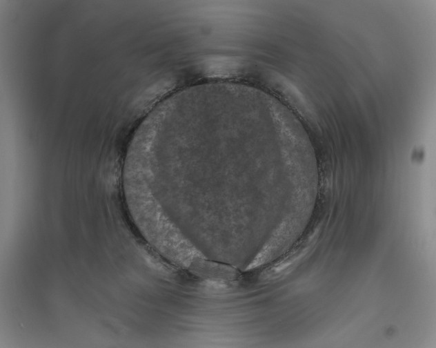 X0000094070277200711091159