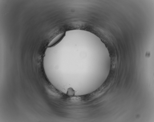 X0000094070279200711091159