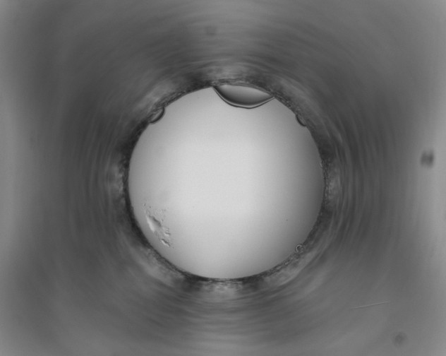 X0000094070282200711091159