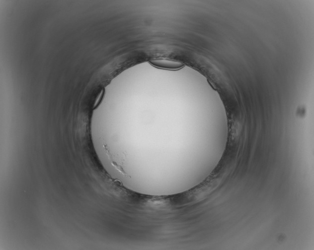 X0000094070283200711091159