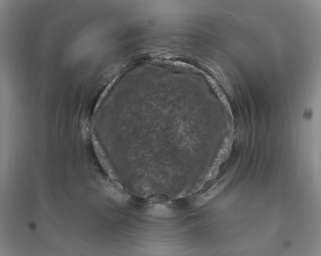 X0000094070285200711091159