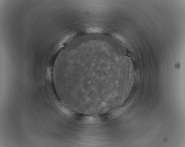 X0000094070286200711091159