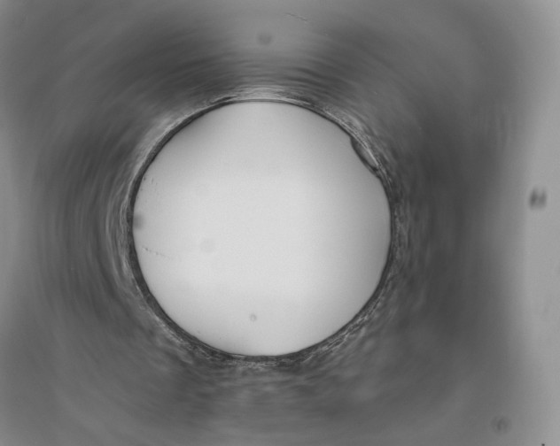 X0000094070289200711091158