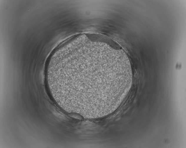 X0000094070290200711091158
