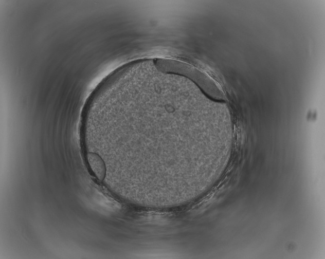 X0000094070292200711091158