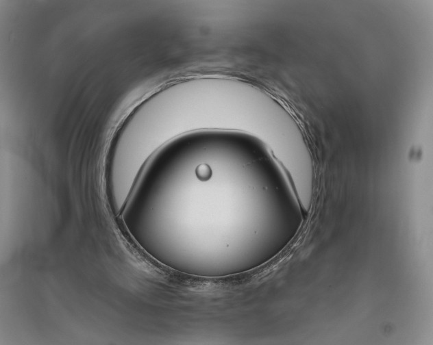 X0000094070293200711091158