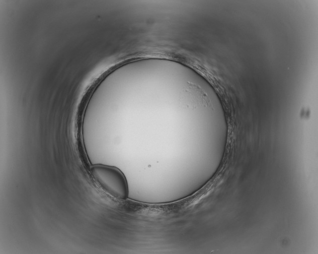 X0000094070294200711091158