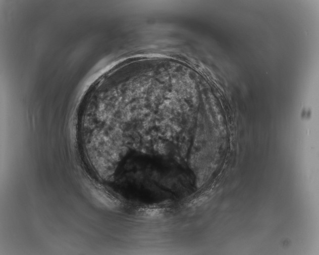 X0000094070295200711091158