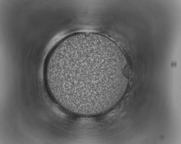 X0000094070296200711091158