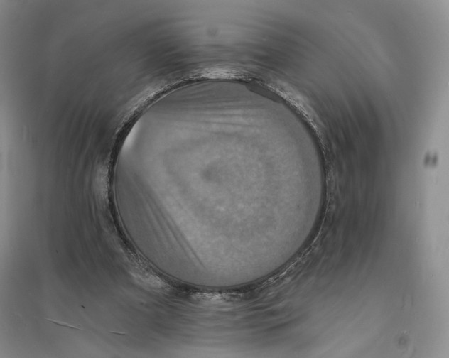 X0000094070297200711091158