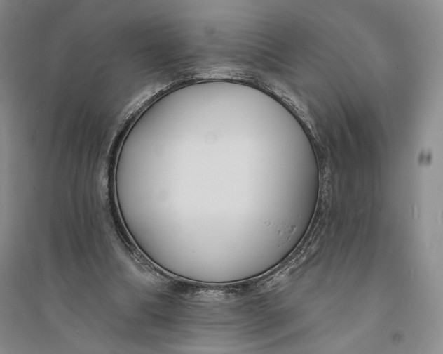 X0000094070298200711091158