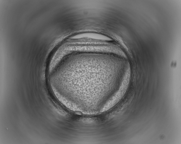 X0000094070299200711091158