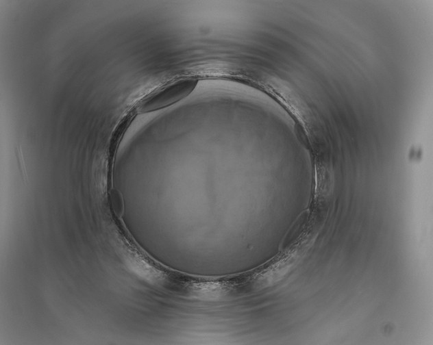 X0000094070301200711091158