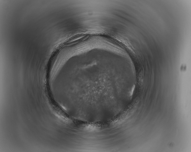 X0000094070303200711091158